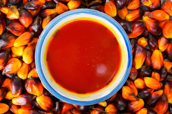 palm oil